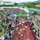 보성이네 이미지