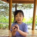 중곡근린공원 이미지