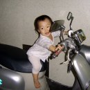 나도투어 Daum카페