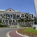 지식파워능력개발원 이미지
