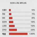 레버리(Reverie) 이미지