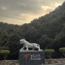 가온누리샵 | [서울 근교 골프장] “파주 타이거CC 3부 라운딩” 10월 그린피, 노캐디, 퇴근 후 방문 후기!