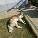 아프리카게스트하우스 이미지