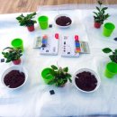 은천병설유치원 이미지