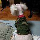 강사모백화점 이미지