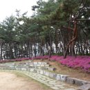 자산솔밭공원 이미지