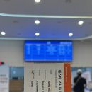 (유)나성관광 여행사 | [대마도/ 여행] 알차다 못해 터진 대마도 1박2일 패키지 여행 후기 / 뷰호텔, 기념품 추천