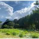 포레스트 카라반 랜드 이미지