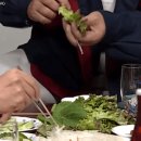 철판깔고 흡입하는 박영규 먹방 이미지