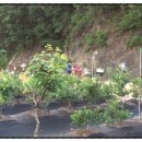 세정농원 이미지