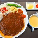 101번지남산돈까스충남홍성점 | 천안 갤러리아 푸드코트 맛집 101번지남산돈까스 왕돈까스 내돈내산 솔직후기