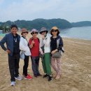 흥도초교 이미지