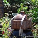 표선가시리민박 이미지