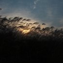 하늘공원 이미지