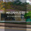 주식회사 써니사이드업 (SUNNY SIDE UP) | 울산 브런치 맛집 ‘써니사이드업’ 오픈런 후기