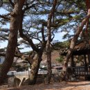 원주굽이길 원3코스 백운산자연휴양림길 이미지