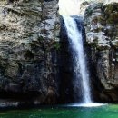 원동양계장 이미지