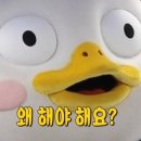 맨날수리야 Daum카페