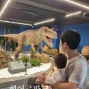 엄마랑 책놀이터Ⅰ | 부산 실내놀이터 히어로플레이파크 명지점 (+후기와 꿀팁)