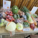 한반도면-8 이미지