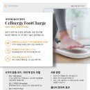 팜 라이프 이미지