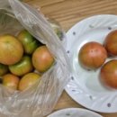 이레농장 2 이미지