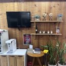 룩안경콘택트 이미지