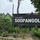 그때그곳 - 남구 | 청주 계곡 바베큐 끝판왕! 가족·친구·반려견까지 한 번에 즐긴 ‘그곳 숲안골’ 리얼 후기
