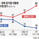 개박살난 tk 윤석열 지지율 이미지