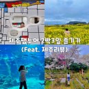 웰비하우스 | 제주팸투어 2박 3일 즐기기(Feat. 제주리뷰)