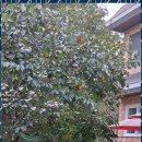 은혜요양원 이미지