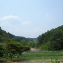 향수산 정상 이미지