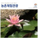 장승배기체험농장민박 이미지