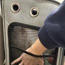 코코빌 | 강아지 백팩 캐리어 / 이동가방 + 개모차 1석 2조 가방 - 코코빌 펫 캐리어 내돈내산 후기