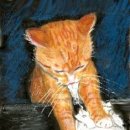 굿모닝항외과의원 이미지