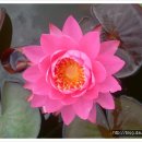 이천매곡초등학교 이미지