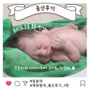 미리안산부인과의원 | 구미 미리안산부인과 제왕절개 출산후기 1