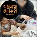 숲체험프로그램, 멀리 나가지 않아도 식물을 만나는오월의 과학정원 센터 수업 후기