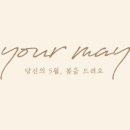유어메이(Your May) 네이버블로그