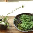 한내들어린이집 이미지