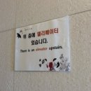 호텔더블유 | 광안대교가 코 앞에! 광안리 오션 숙소 추천 '더블유호텔'