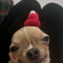 족발클럽
