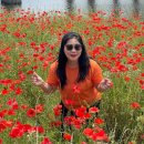 고고난타 장구 이미지