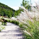 율곡수목원(1) 이미지