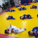 코리아 유도 멀티짐 이미지