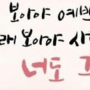 자세히 보아야 예쁘다 이미지