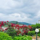 길안천 돌담집 이미지