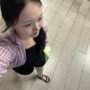 신쭈꾸미(서가네쪽갈비) | 2025年 7月