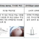 영아상사 이미지