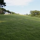 영조 세탁 이미지